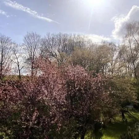 Grosse Loft- Glueck Im Gruenen *