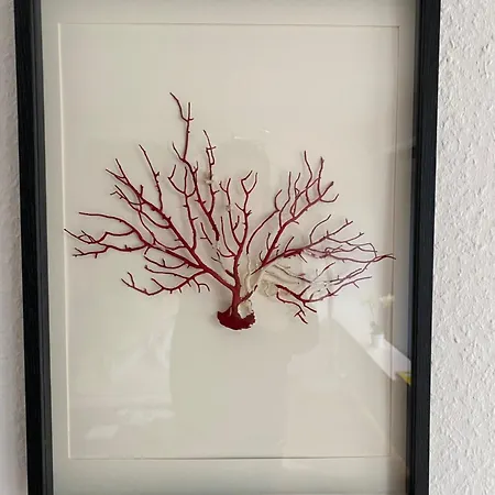 Große Loft- Glück Im Grünen *