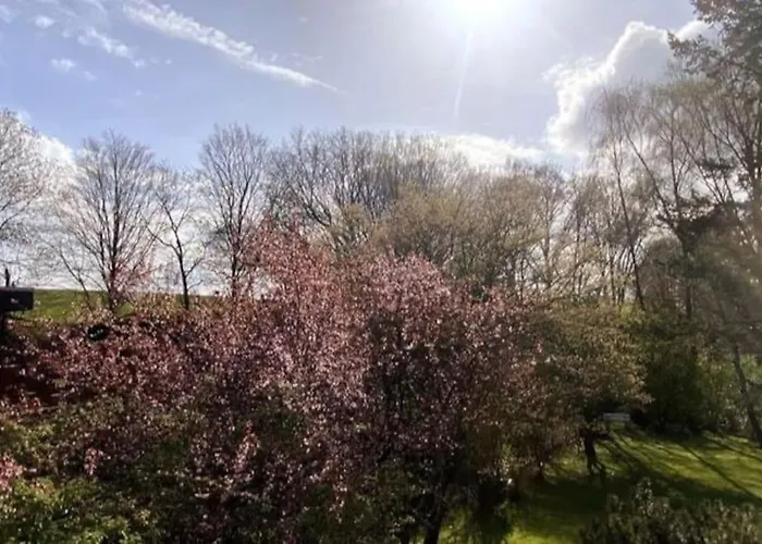 Grosse Loft- Glueck Im Gruenen *